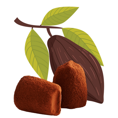 Cacao nibs chocolate truffles - bulk - WOW Chocolao!