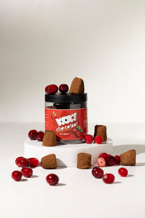 Cranberry Chocolate Truffles Gift Jar 130g | Fruity Luxury Chocolate - WOW Chocolao!