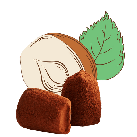 Hazelnut Chocolate Truffles - bulk - WOW Chocolao!
