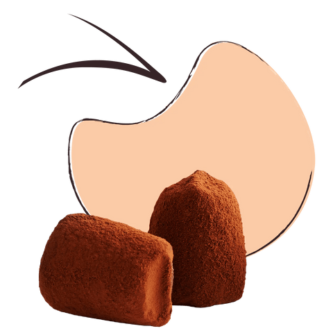 Plain Chocolate Truffles - bulk - WOW Chocolao!