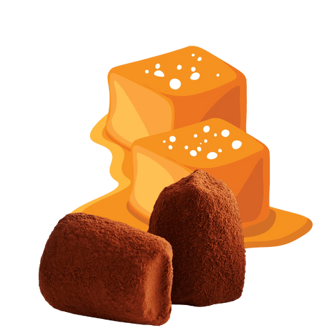 Salted Caramel Chocolate Truffles - bulk - WOW Chocolao!