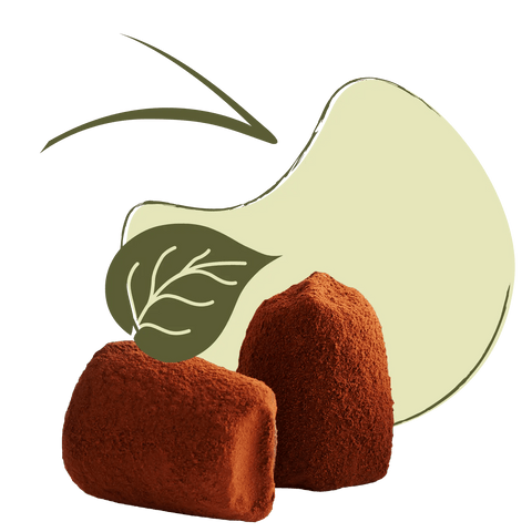Vegan Chocolate Truffles - bulk - WOW Chocolao!
